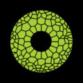 CHAMELEON Design Agency