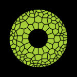 CHAMELEON Design Agency
