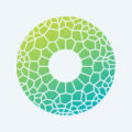 CHAMELEON Digital Agency