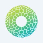 CHAMELEON Digital Agency